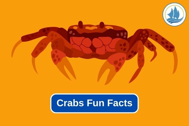 Fascinating Fun Facts About Crabs